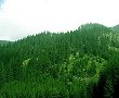 Natura